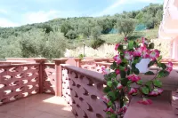 Hotel Delle More - Ocean View