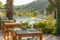 Club Pink Palace Hotel - Kolam Renang