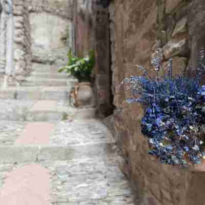 Charming Castles B&B in Dolceacqua Others