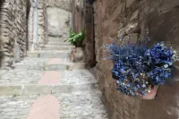 Charming Castles B&B in Dolceacqua Hotel a San Biagio della Cima