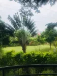 Natures Guesthouse Hotels in Matugga