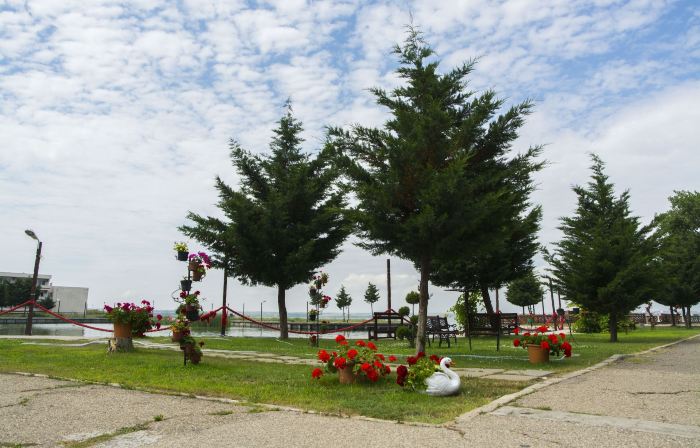 Voila Mamaia