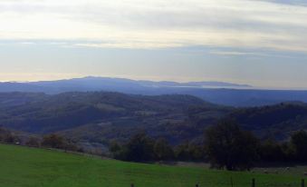 Bio Agriturismo I Lapi