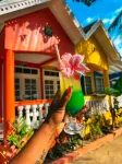 The Boardwalk Village - Bars