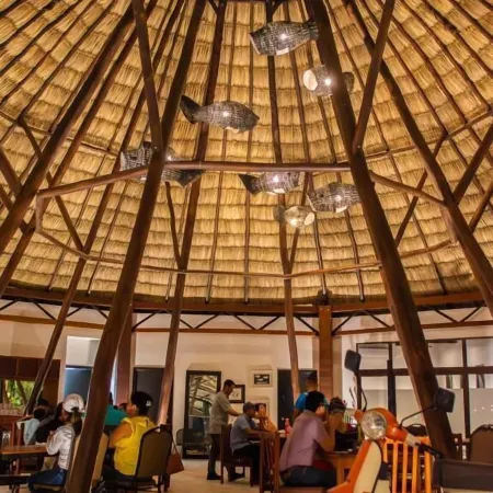 Maya Internacional