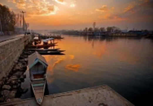 リリー オブ ナジーン