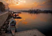Houseboat Lily of Nageen