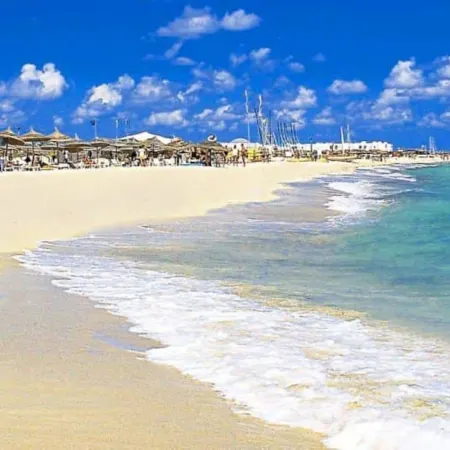 Zenon Djerba