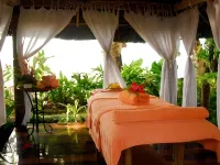 Garden Island Resort - spa