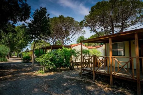 New Camping le Tamerici Hotels in Cecina