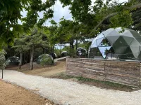 Mas KAZDAĞI GLAMPİNG - WiFi