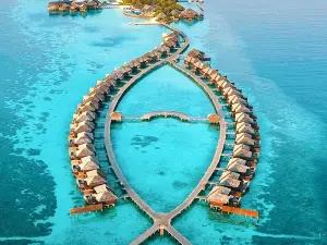 10 Khung cảnh trữ tình Hàng Đầu Tại Alif Dhaal Atoll