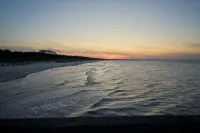 Strandvilla Viktoria - Beach