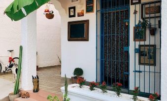 Zili Pernambuco Hostel & CoWorking