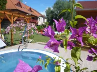 Zsanett Hotel - piscine