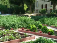 Villa Alecya Hotel a Crouzilles