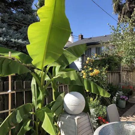 Cozy Bedrooms Guest House Отели рядом с достопримечательностью «Vancouver Olympic Centre»