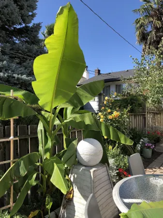 Cozy Bedrooms Guest House