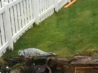 Door to the Shore - Seafront Cottages Hotels in Fraserburgh
