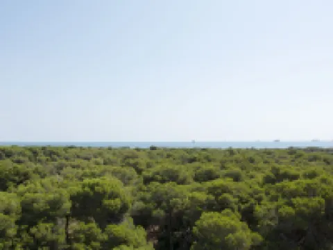 ยูแอนด์โค. ซาเลอร์บีช บูทีคโฮเทล โรงแรมในบาเลนเซีย