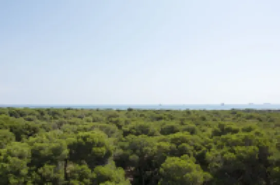 You & CO. Saler Beach Boutique