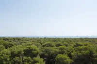 You & CO. Saler Beach Boutique Hotel a Almussafes