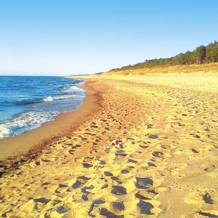 Holiday Homes, Gleznowko