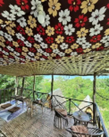 艾爾尼多森林營地