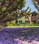 Cascina San Giorgio Hotels in Lu