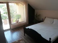 Step Inn Hotels in Ciugud