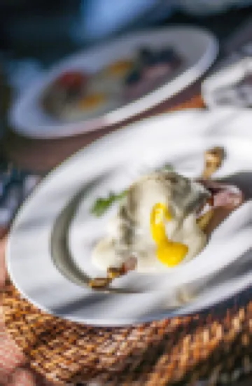 Elephant Hide of Knysna Guest Lodge