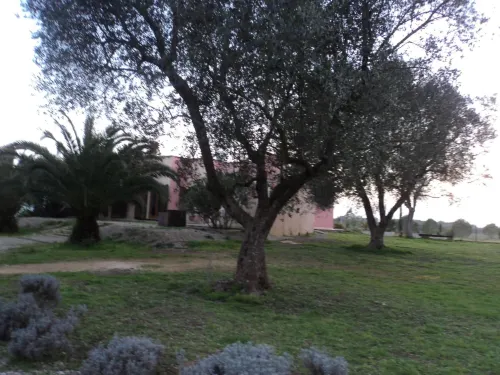 B&B Ulivi d'Argento Hotels in Lequile