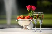 Hotel Lodewijk Van Male - Pet-friendly