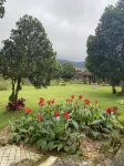Buyan Resort