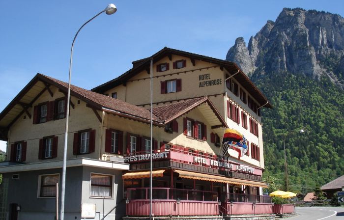 Alpenrose