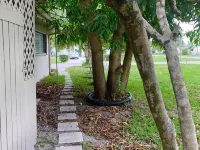 Warm Mineral Springs Cozy Waterfront Apartment Hotels in Warm Mineral Springs