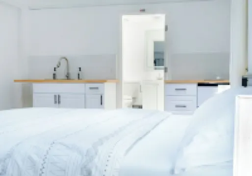 Cozy apartment next to Busch Gardens / USF