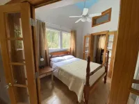 The Seed House: Renovated Octagonal Barn, Dog-friendly!