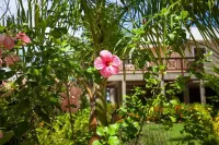 Secluded Oceanfront 4BR Luxury Villa - Fully Staffed on Camp Bay Beach, Roatan Các khách sạn gần Roatan, Honduras