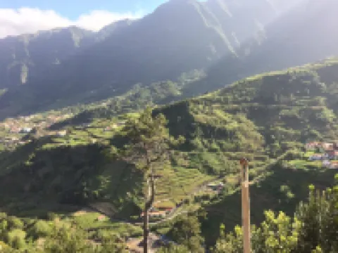 Yellow Attic S. Vincent