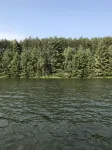 1-bedroom cabin near Huron-Manistee National Forest