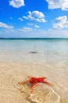 Grand Cayman Oceanfront Condo, Serenity Kai, Kaibo Yacht Club