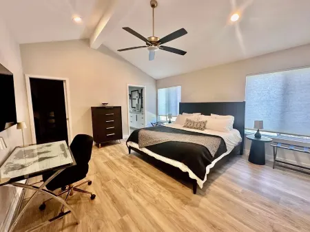 Stunning, Dog-Friendly Desert Contemporary