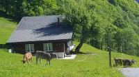 Uriges Chalet, Ideal für Familien und Gruppen bis 6 Personen Hotels in Glarus Sud