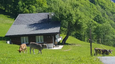Uriges Chalet, Ideal für Familien und Gruppen bis 6 Personen Отели в г. Эльм
