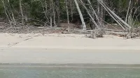 "We Make Your Stay In The Bahamas Both Comfortable and Affordable"
