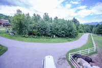 Gated 40 acre Animal Farm w/best mountain views in N. Conway