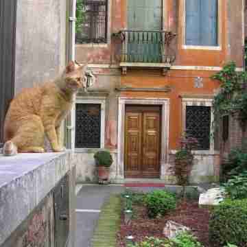 Ca' Angeli Hotel Exterior