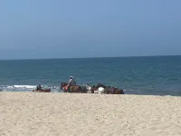 A pool and a beach… What else do you need? Check out my REVIEWS! GREEN! - Beach