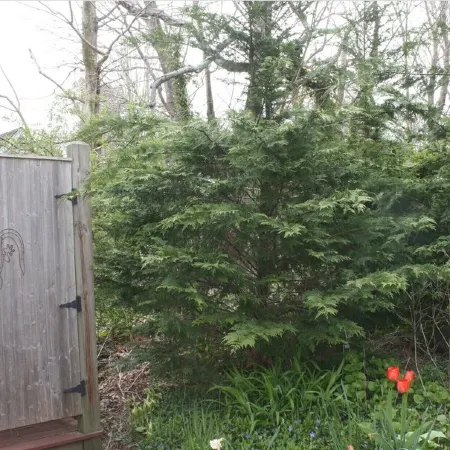 Cottage near bay beach- 1 Bd/1Ba